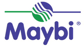 MAYBİ